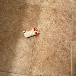 Meet your Posher, Warren